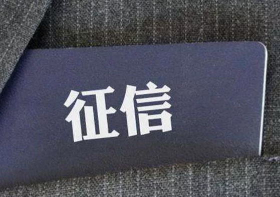 樸道征信：累計線上調用逾45億次，日調用峰值達3500萬次
